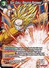 Son Goku, Resolve Renewed