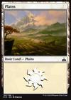 Plains