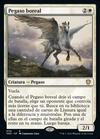 Pegaso boreal