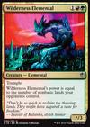 Elemental salvaje