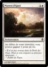 Mantra d'Ajani