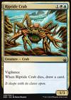 Riptide Crab