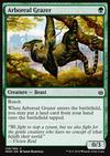 Arboreal Grazer