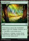 Vivid Grove