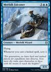 Merfolk Falconer