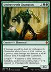 Undergrowth Champion