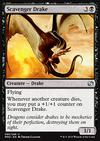 Scavenger Drake