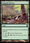 Tranquil Thicket