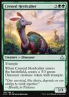 Crested Herdcaller