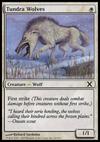 Tundra Wolves