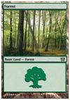 Forêt