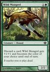 Wild Mongrel