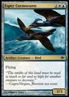 Esper Cormorants