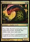 Putrid Leech