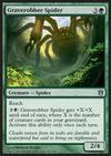 Graverobber Spider