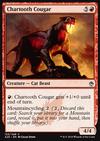 Chartooth Cougar