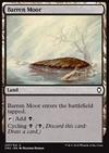 Barren Moor