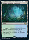 Bosque tropical brumoso