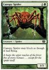 Canopy Spider