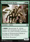 Domesticated Hydra