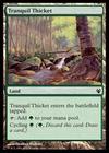 Tranquil Thicket