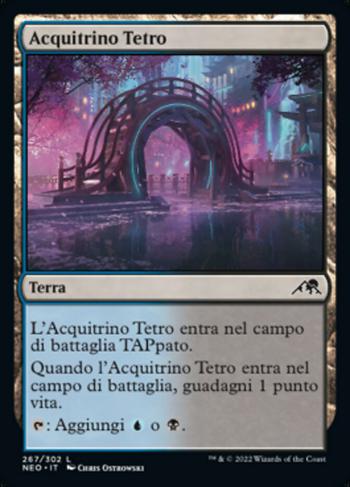 Acquitrino Tetro