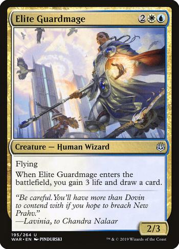 Elite Guardmage