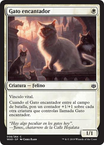 Gato encantador