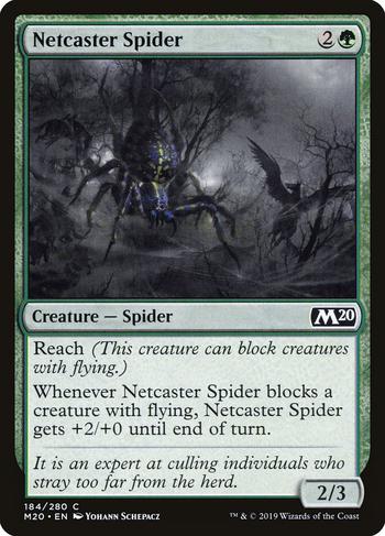 Netcaster Spider