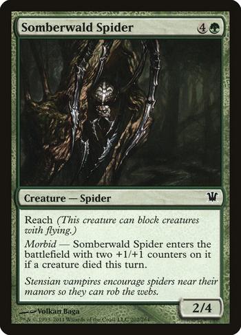 Somberwald Spider