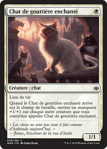 Chat de gouttière enchanté