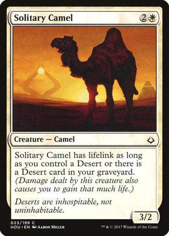 Solitary Camel