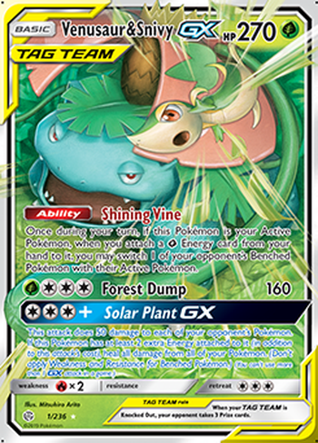 Venusaur & Snivy GX