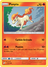 Ponyta