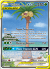 Brindibou et Noadkoko d’Alola GX