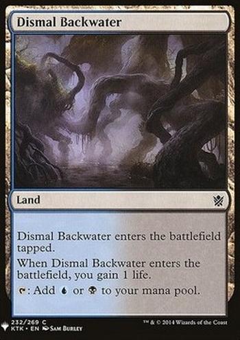 Dismal Backwater