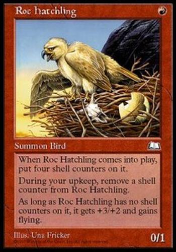 Roc Hatchling