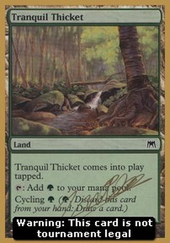 Tranquil Thicket