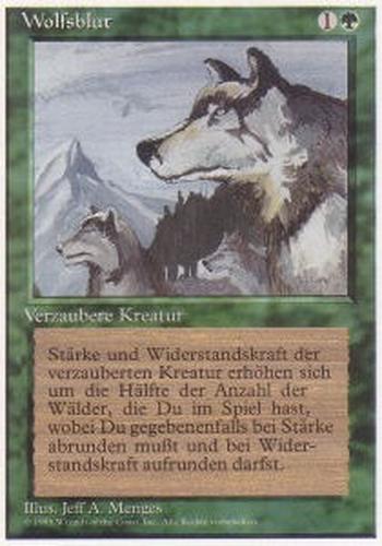 Aspect of Wolf