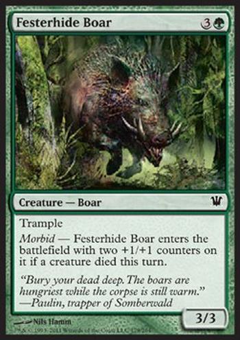 Festerhide Boar