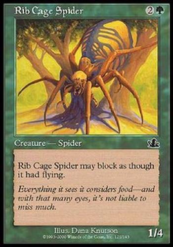 Rib Cage Spider