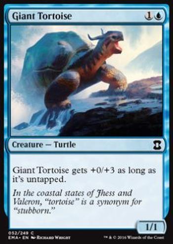 Giant Tortoise