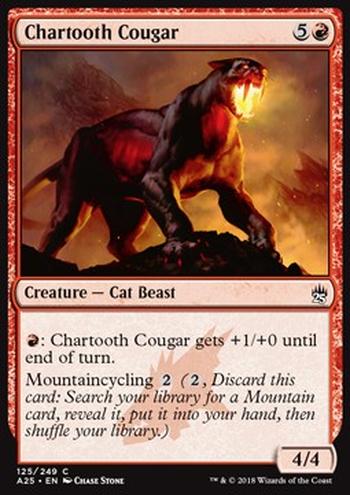 Chartooth Cougar