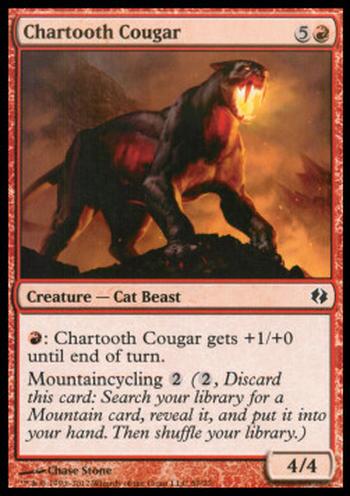 Chartooth Cougar