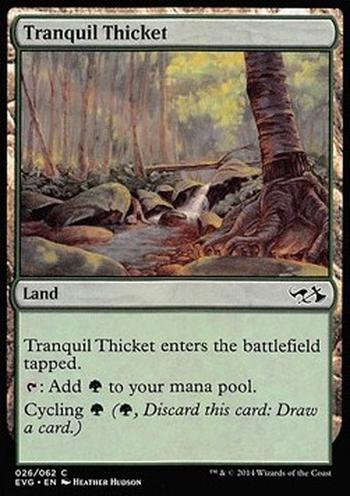 Tranquil Thicket