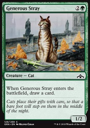 Generous Stray