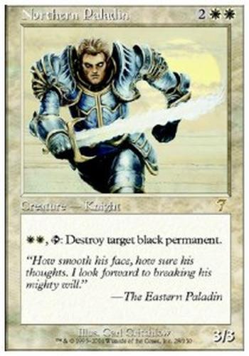 Northern Paladin