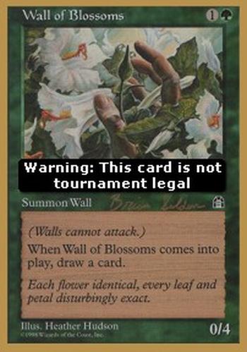 Wall of Blossoms