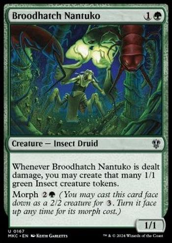 Broodhatch Nantuko