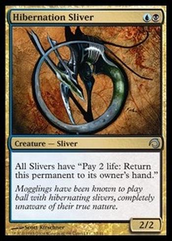 Hibernation Sliver